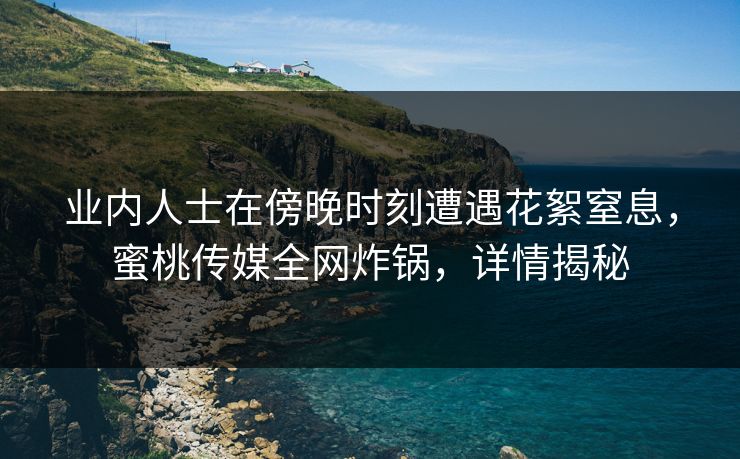 业内人士在傍晚时刻遭遇花絮窒息，蜜桃传媒全网炸锅，详情揭秘