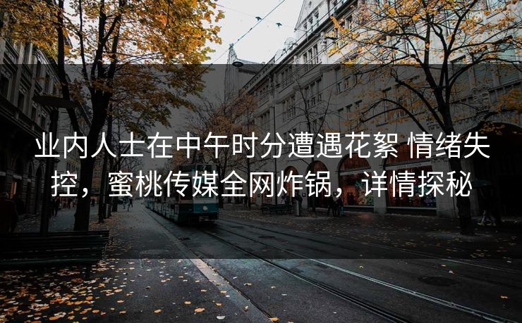 业内人士在中午时分遭遇花絮 情绪失控，蜜桃传媒全网炸锅，详情探秘
