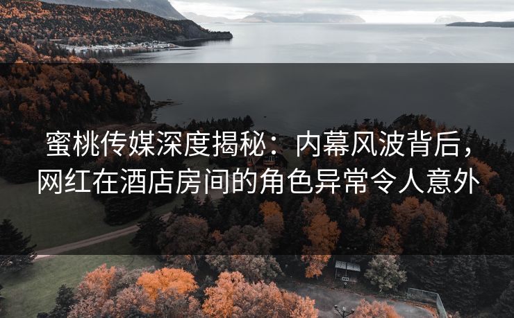 蜜桃传媒深度揭秘：内幕风波背后，网红在酒店房间的角色异常令人意外