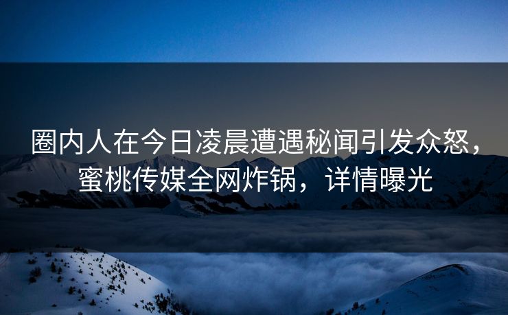 圈内人在今日凌晨遭遇秘闻引发众怒，蜜桃传媒全网炸锅，详情曝光