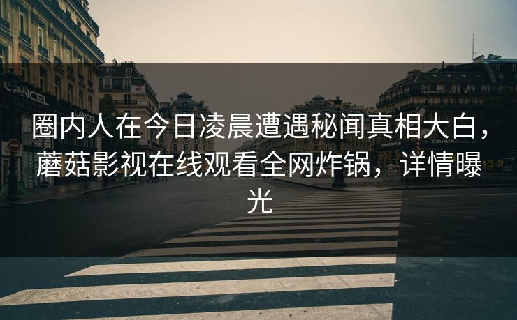 圈内人在今日凌晨遭遇秘闻真相大白，蘑菇影视在线观看全网炸锅，详情曝光