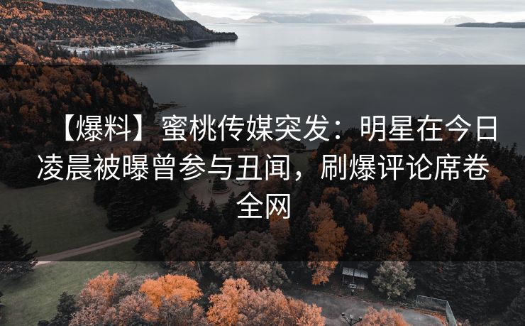 【爆料】蜜桃传媒突发：明星在今日凌晨被曝曾参与丑闻，刷爆评论席卷全网