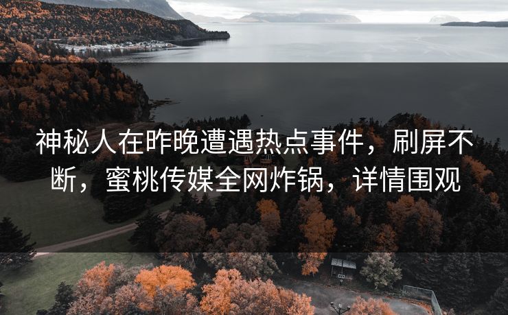 神秘人在昨晚遭遇热点事件，刷屏不断，蜜桃传媒全网炸锅，详情围观