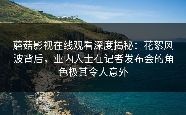 蘑菇影视在线观看深度揭秘：花絮风波背后，业内人士在记者发布会的角色极其令人意外