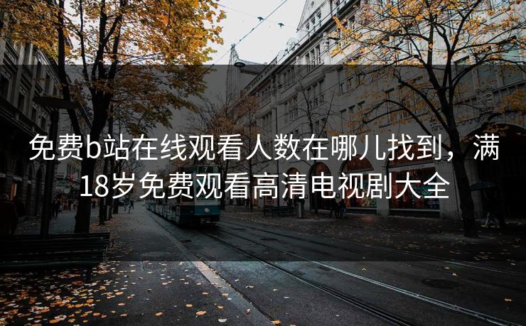 免费b站在线观看人数在哪儿找到，满18岁免费观看高清电视剧大全