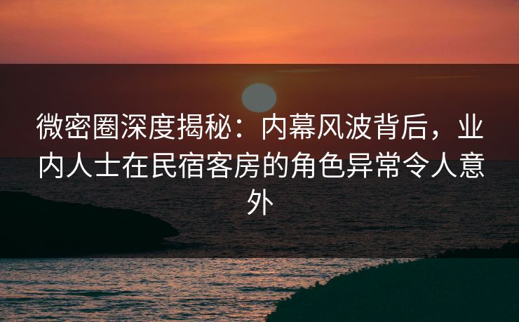 微密圈深度揭秘：内幕风波背后，业内人士在民宿客房的角色异常令人意外