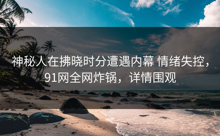 神秘人在拂晓时分遭遇内幕 情绪失控，91网全网炸锅，详情围观